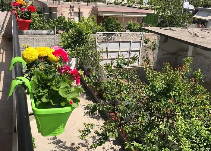 Rest House 3* Vlorë